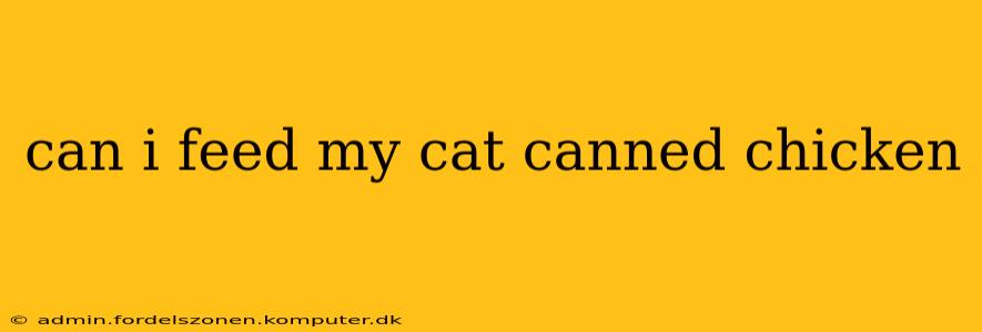 can i feed my cat canned chicken