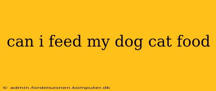 can i feed my dog cat food
