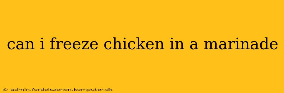 can i freeze chicken in a marinade