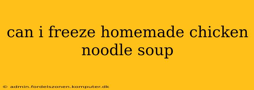 can i freeze homemade chicken noodle soup