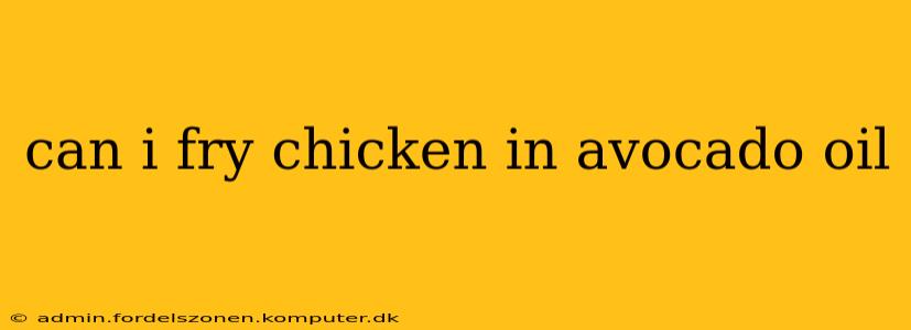 can i fry chicken in avocado oil