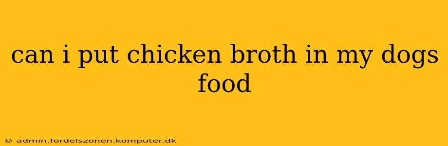 can i put chicken broth in my dogs food