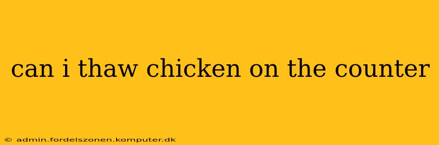 can i thaw chicken on the counter