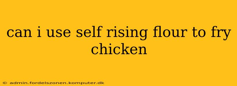 can i use self rising flour to fry chicken