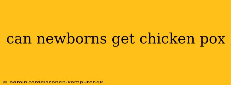can newborns get chicken pox
