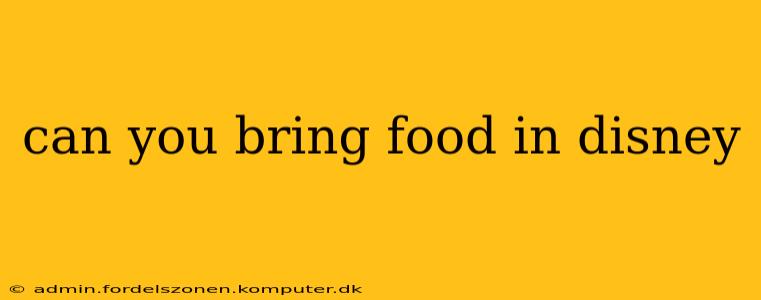 can you bring food in disney