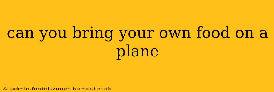 can you bring your own food on a plane