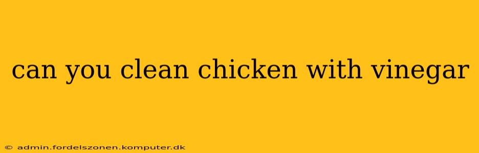 can you clean chicken with vinegar