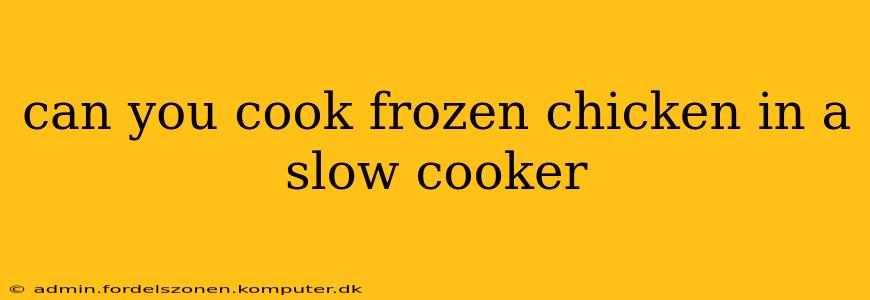 can you cook frozen chicken in a slow cooker