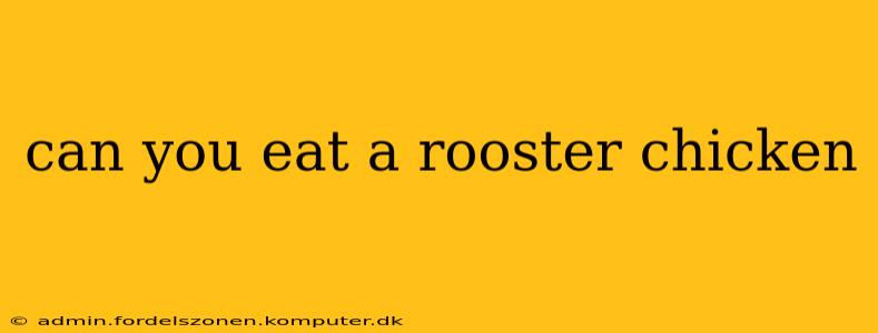 can you eat a rooster chicken