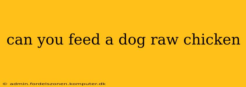 can you feed a dog raw chicken