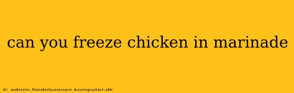 can you freeze chicken in marinade