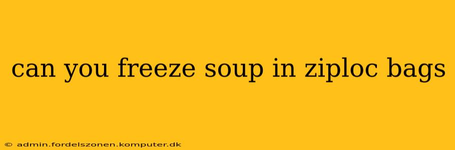 can you freeze soup in ziploc bags