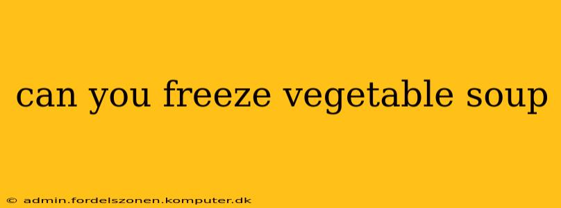 can you freeze vegetable soup