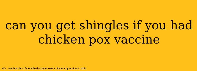 can you get shingles if you had chicken pox vaccine