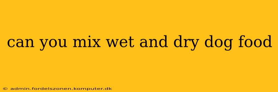 can you mix wet and dry dog food