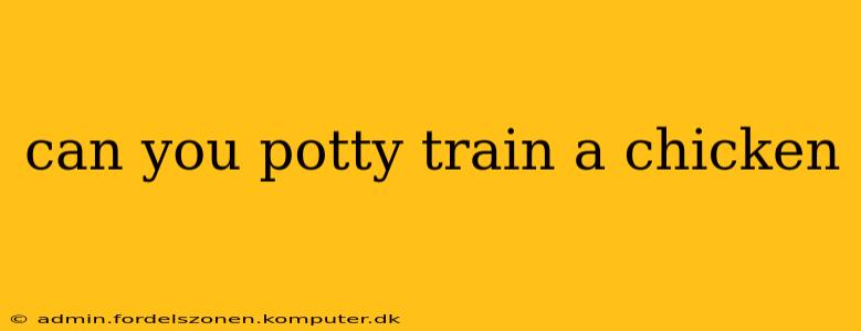 can you potty train a chicken