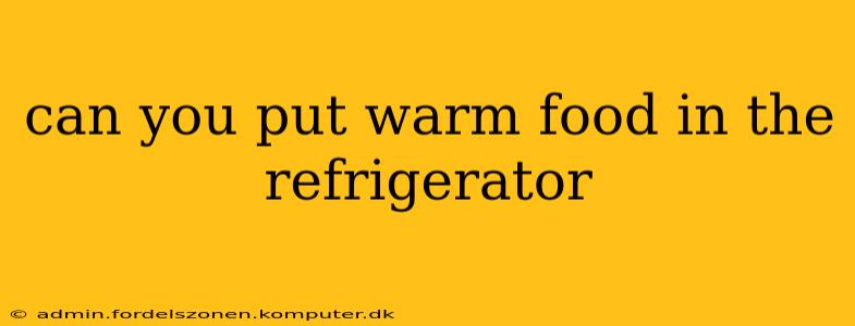 can you put warm food in the refrigerator