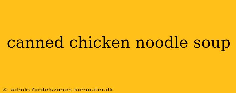canned chicken noodle soup