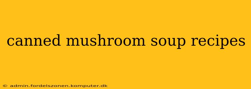 canned mushroom soup recipes
