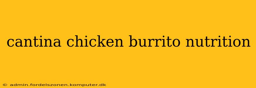 cantina chicken burrito nutrition