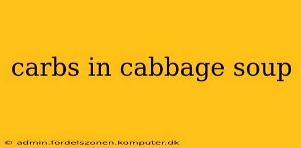carbs in cabbage soup