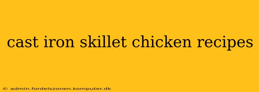 cast iron skillet chicken recipes