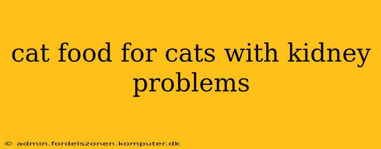 cat food for cats with kidney problems
