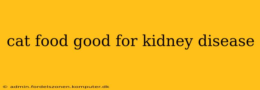 cat food good for kidney disease