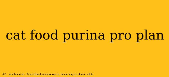 cat food purina pro plan