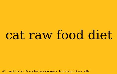 cat raw food diet