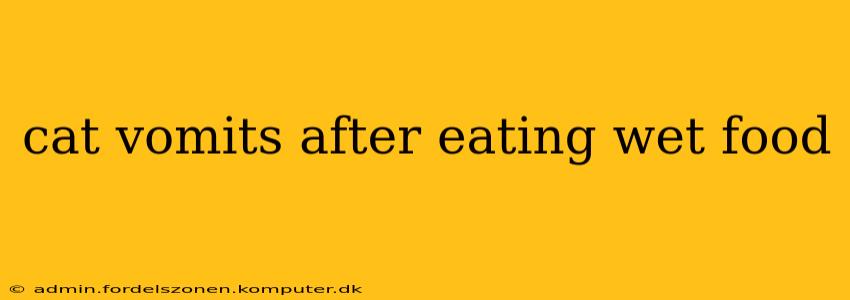 cat vomits after eating wet food