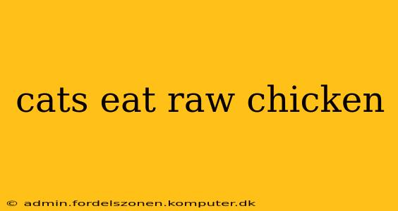 cats eat raw chicken