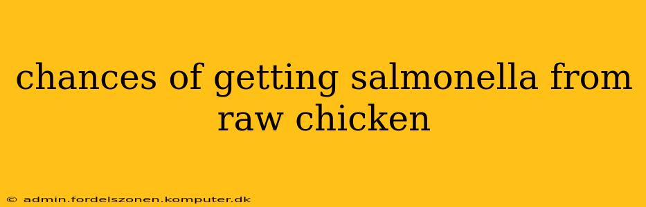 chances of getting salmonella from raw chicken