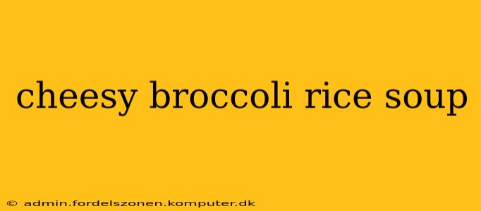 cheesy broccoli rice soup