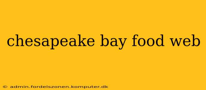 chesapeake bay food web