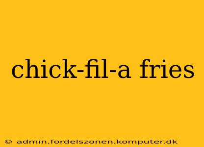 chick-fil-a fries