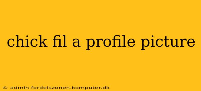chick fil a profile picture