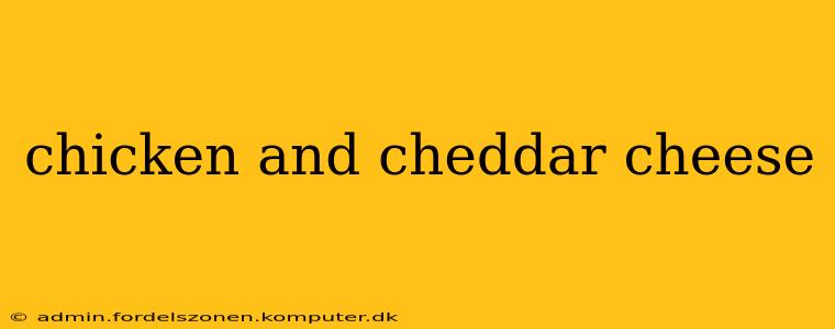 chicken and cheddar cheese