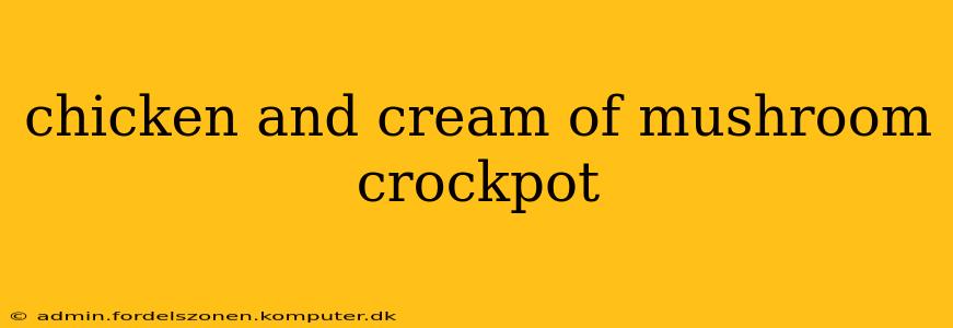 chicken and cream of mushroom crockpot