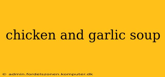 chicken and garlic soup