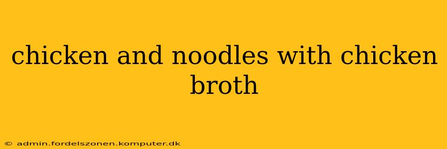 chicken and noodles with chicken broth