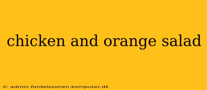 chicken and orange salad