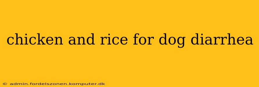 chicken and rice for dog diarrhea
