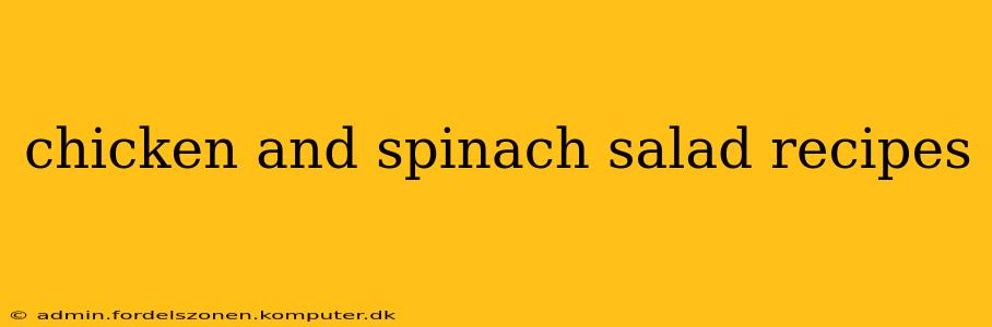 chicken and spinach salad recipes