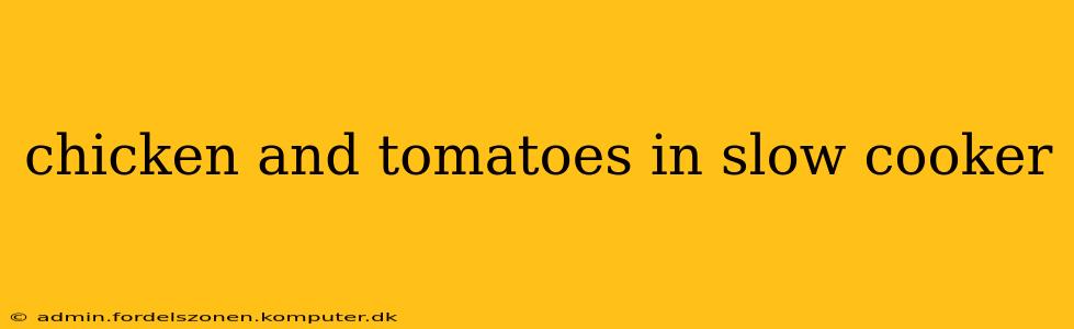 chicken and tomatoes in slow cooker