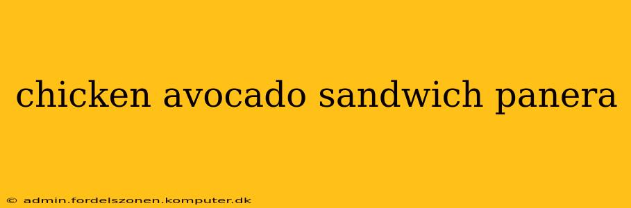 chicken avocado sandwich panera