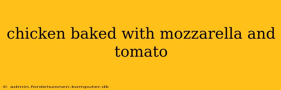 chicken baked with mozzarella and tomato