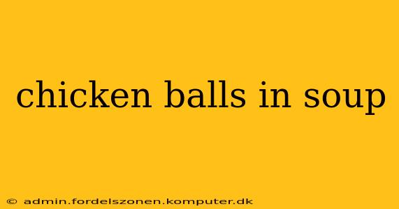 chicken balls in soup