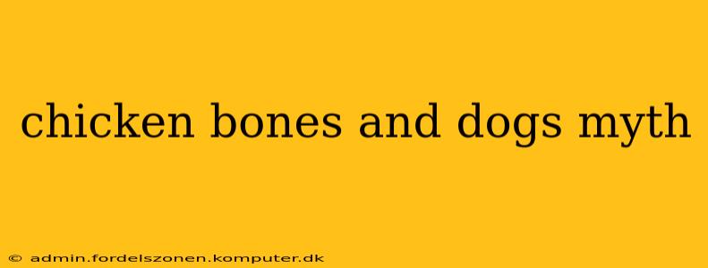 chicken bones and dogs myth
